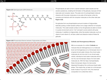 phospholipids