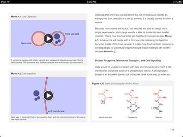 cell membranes